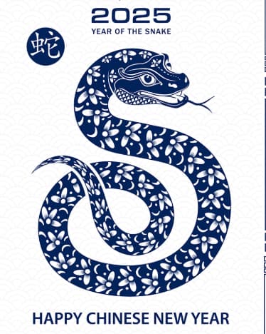 Chinese New Year is approaching